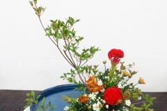 花の写真　盛花