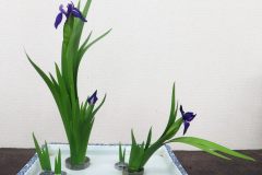 花の写真　葉組